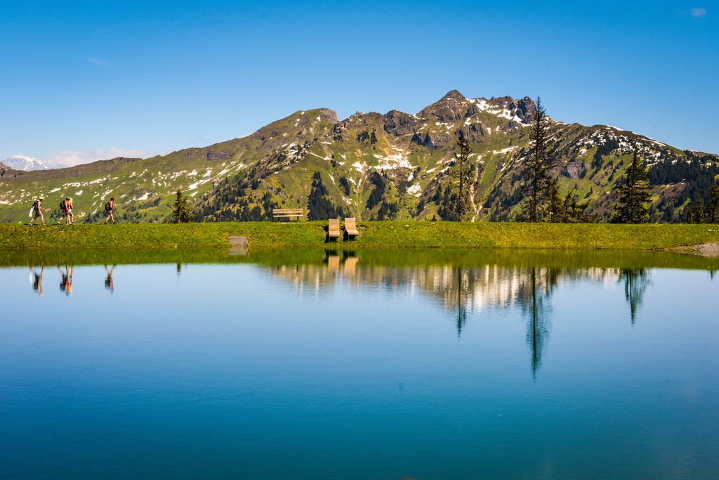 Hotel Voelserhof - Bergbahn Im Sommer 2025 Inklusive Bad Hofgastein Dış mekan fotoğraf